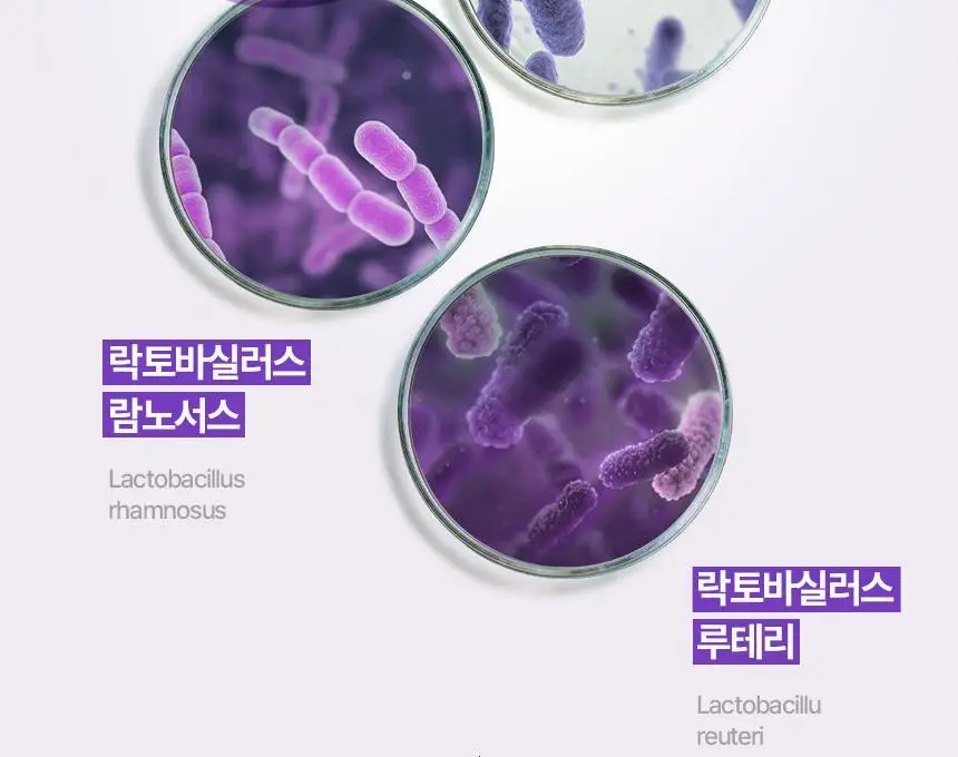 [탄력, 속보습앰플] 바이오힐 보 프로바이오덤 3D 리프팅 앰플 30ml [단품/증정기획] 상세페이지 19